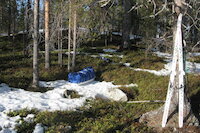 [IMG_0579.JPG]