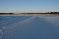 [IMG_0584.JPG]