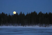 [IMG_0598.JPG]