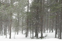 [IMG_0637.JPG]
