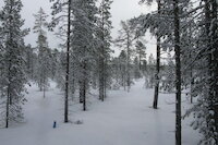 [IMG_0647.JPG]