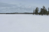 [IMG_0653.JPG]