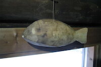 [IMG_0661.JPG]