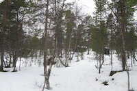 [IMG_0684.JPG]