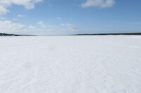 [IMG_0721.JPG]