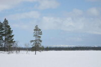 [IMG_0737.JPG]