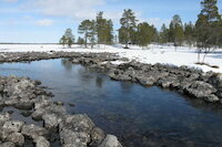 [IMG_0744.JPG]