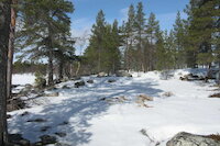 [IMG_0749.JPG]