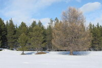 [IMG_0761.JPG]