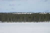 [IMG_0767.JPG]