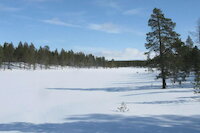 [IMG_0770.JPG]