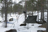 [IMG_0775.JPG]