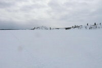 [IMG_0777.JPG]