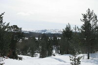 [IMG_0778.JPG]