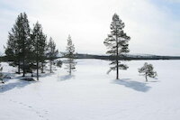 [IMG_0782.JPG]