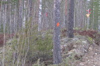 [IMG_1005.JPG]
