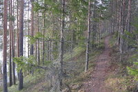 [IMG_1010.JPG]