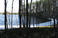[IMG_1016.JPG]