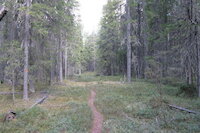 [IMG_1019.JPG]