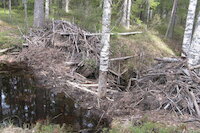 [IMG_1039.JPG]