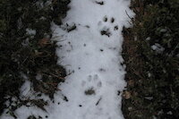 [IMG_1060.JPG]