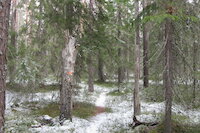 [IMG_1061.JPG]