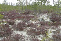 [IMG_1063.JPG]