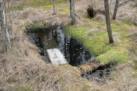 [IMG_1092.JPG]