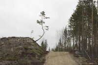 [IMG_1105.JPG]