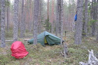 [IMG_1113.JPG]