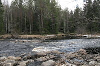 [IMG_1125.JPG]