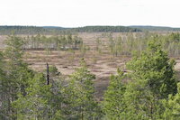 [IMG_1166.JPG]
