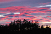 [IMG_1176.JPG]