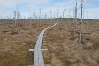 [IMG_1183.JPG]