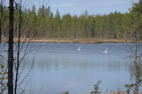 [IMG_1222.JPG]