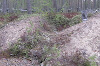 [IMG_1253.JPG]