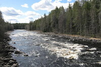 [IMG_1319.JPG]